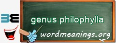 WordMeaning blackboard for genus philophylla